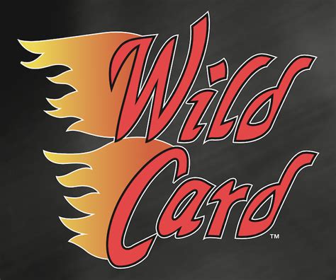 What is * Wild card?